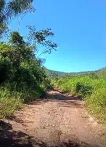 Imagem 6 - Fazenda em Zona Rural, São Félix do Xingu - PA