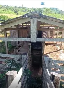 Imagem 5 - Fazenda em Zona Rural, São Félix do Xingu - PA