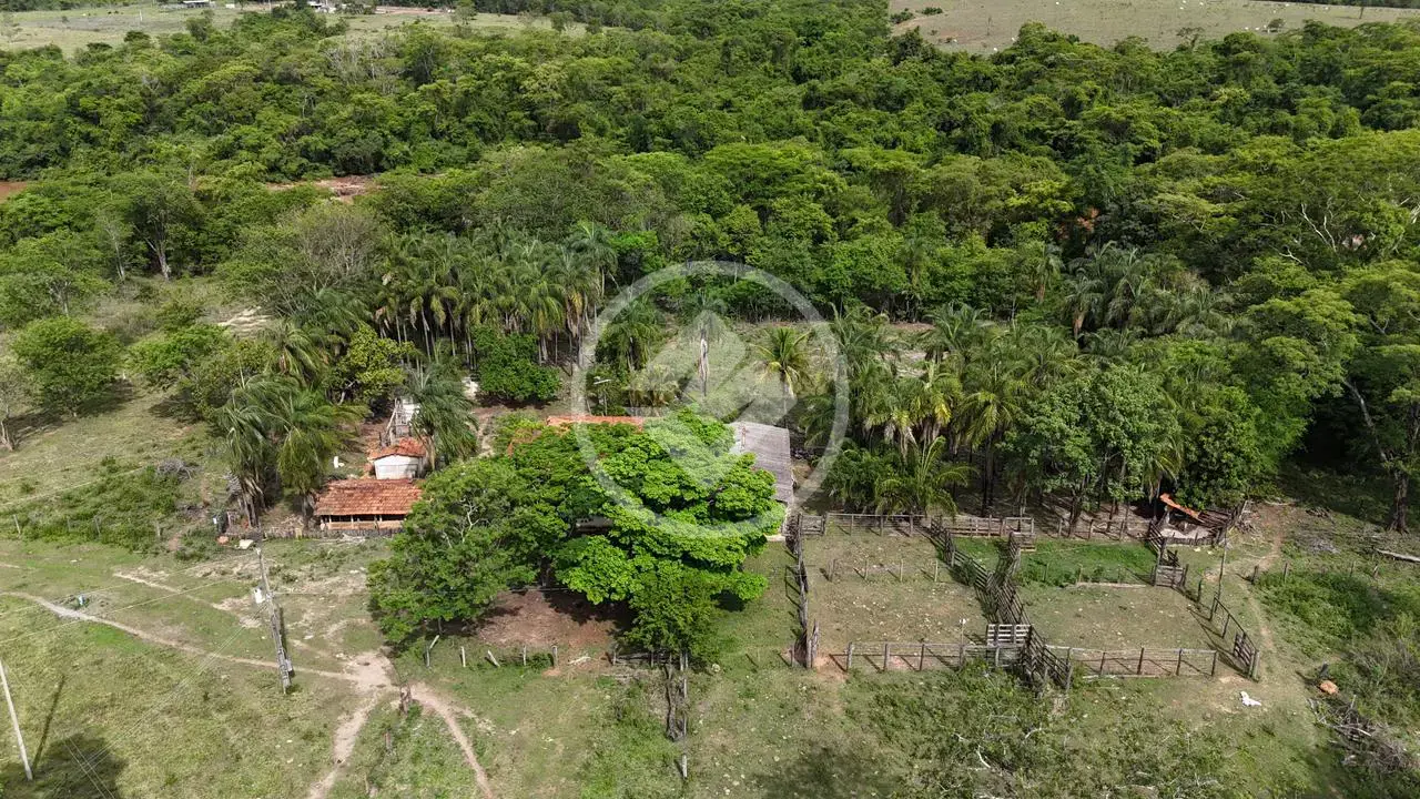 Imagem 1 - Fazenda em Zona Rural, Aloândia - GO