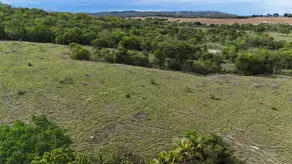Imagem 4 - Fazenda em Zona Rural, Aloândia - GO