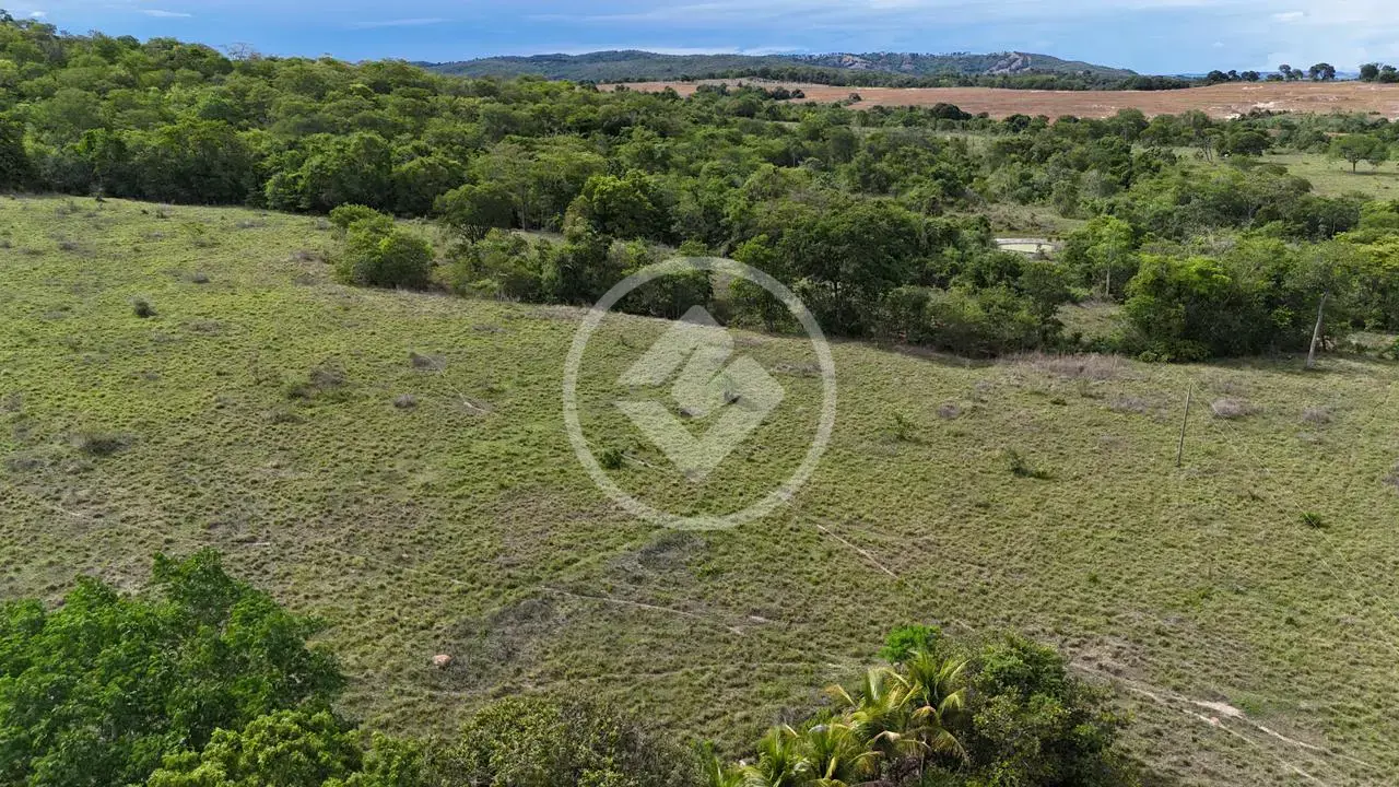 Imagem 4 - Fazenda em Zona Rural, Aloândia - GO