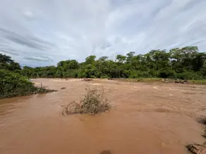 Imagem 2 - Fazenda em Zona Rural, Aloândia - GO