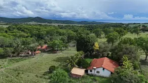 Imagem 5 - Fazenda em Zona Rural, Aloândia - GO