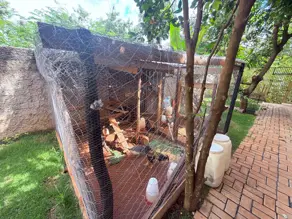 Casa Setor vila maria rosa, Goiânia - GO — foto 2