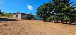 Imagem 3 - Fazenda em Zona Rural, Hidrolândia - GO