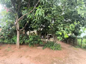 Imagem 6 - Casa em Village dos Ipês, Hidrolândia - GO