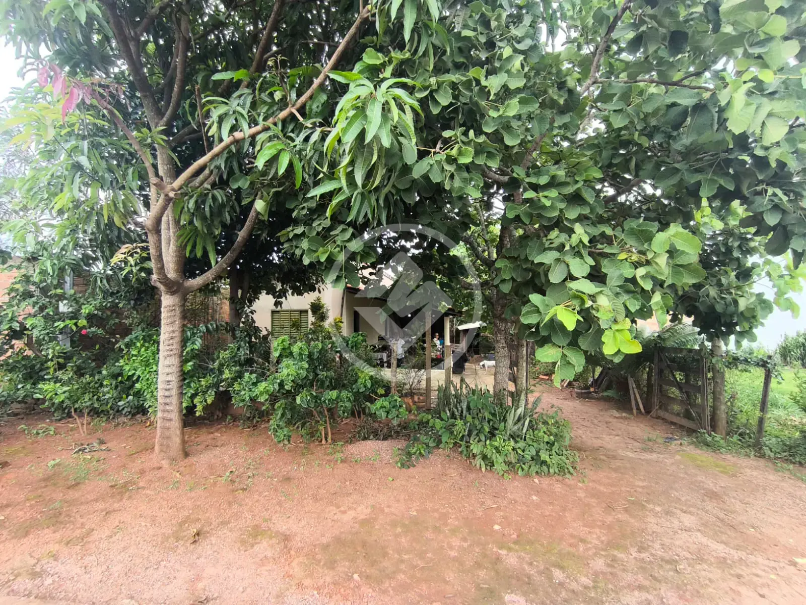 Image 7 - Casa em Village dos Ipês, Hidrolândia - GO