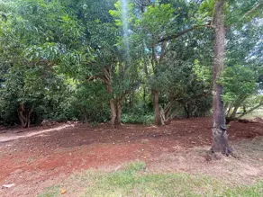 Imagem 4 - Sítio em Zona Rural, Hidrolândia - GO