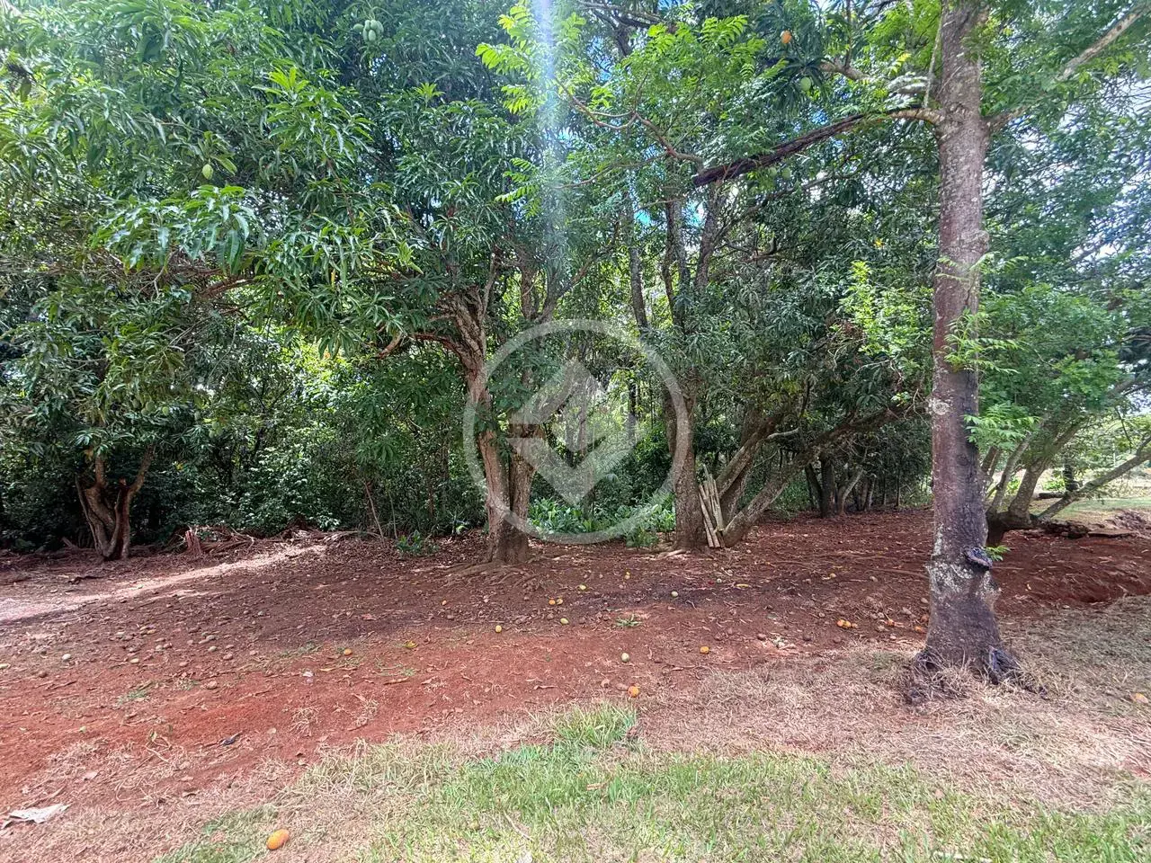 Imagem 4 - Sítio em Zona Rural, Hidrolândia - GO