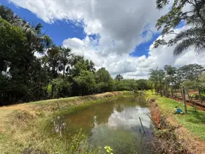 Imagem 3 - Sítio em Zona Rural, Hidrolândia - GO