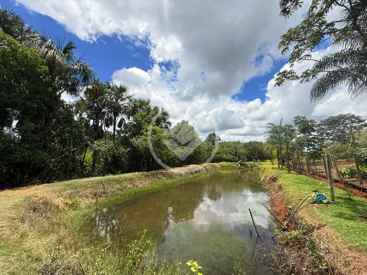 Imagem 3 - Sítio em Zona Rural, Hidrolândia - GO