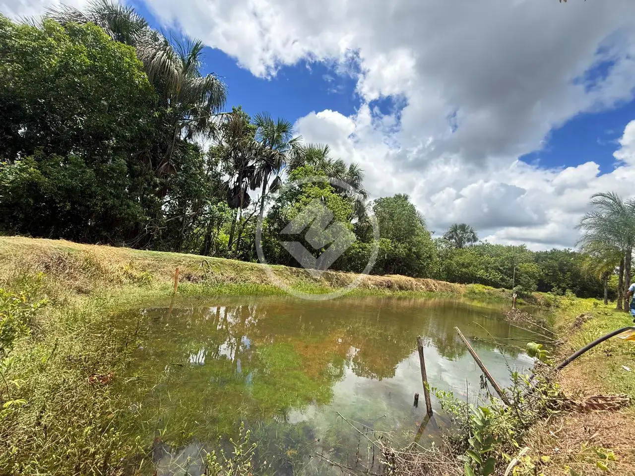 Imagem 1 - Sítio em Zona Rural, Hidrolândia - GO