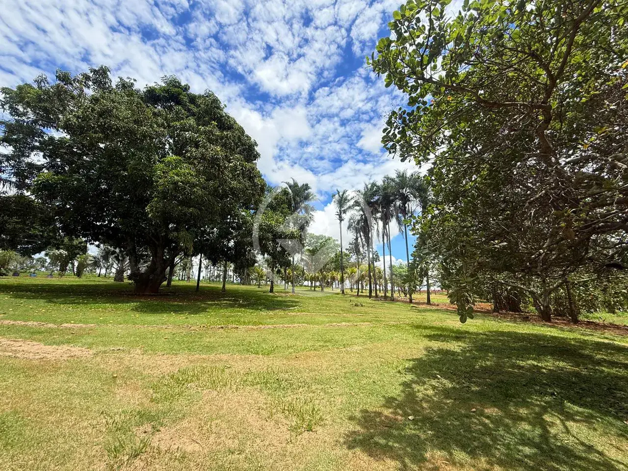 Imagem 5 - Sítio em Zona Rural, Hidrolândia - GO