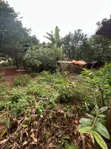 Imagem 5 - Chácara em Savana, Hidrolândia - GO