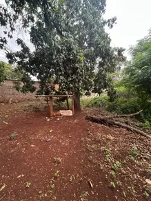 Imagem 6 - Chácara em Savana, Hidrolândia - GO