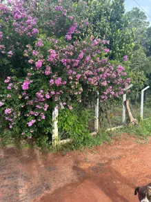 Chácara Triângulo 03, Hidrolândia - GO — foto 2