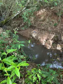 Imagem 4 - Chácara em Triângulo 03, Hidrolândia - GO