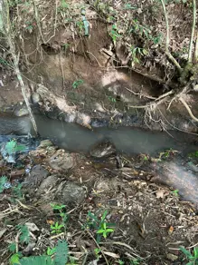 Imagem 2 - Chácara em Triângulo 03, Hidrolândia - GO