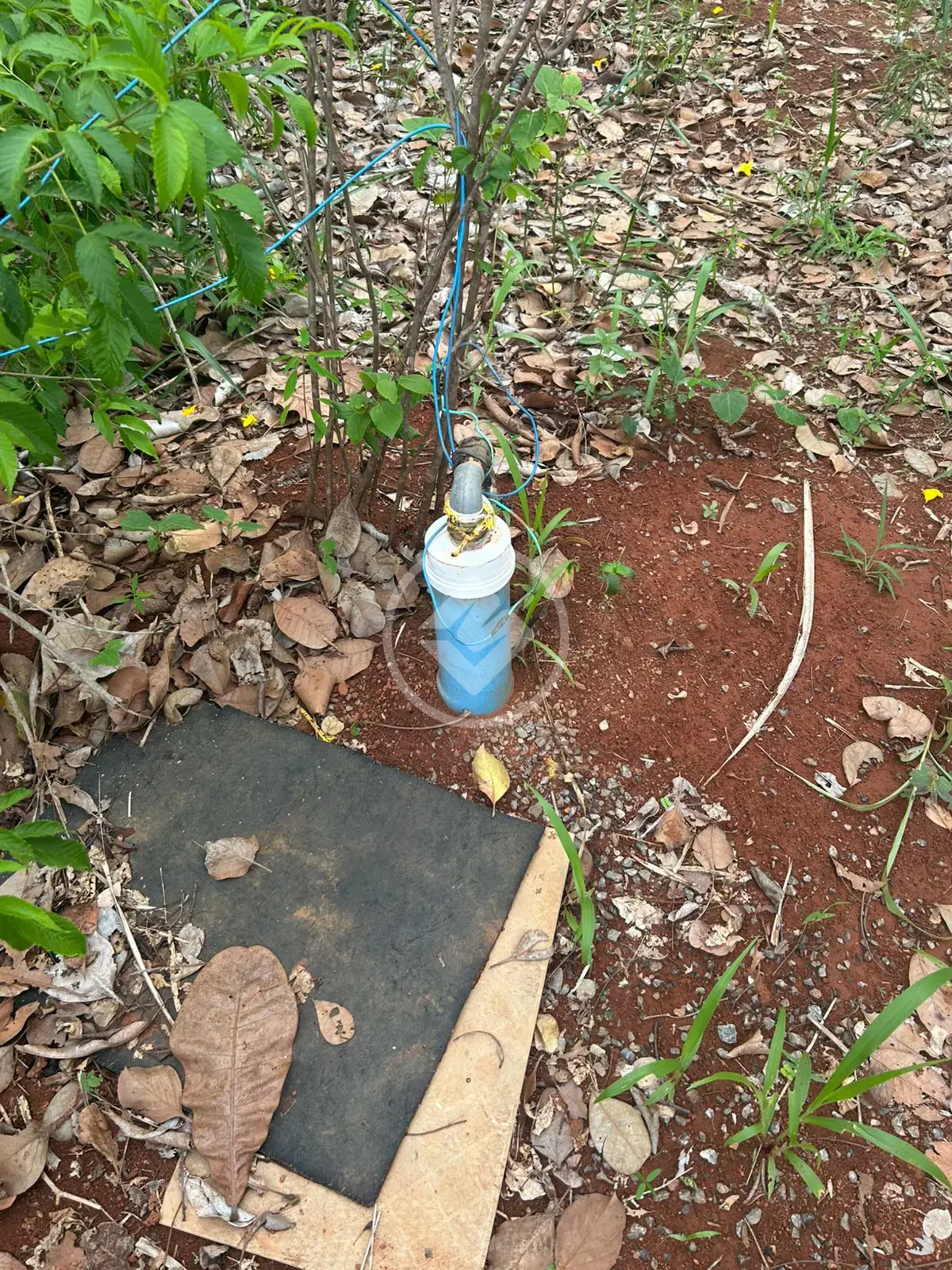 Image 13 - Chácara em Triângulo 03, Hidrolândia - GO
