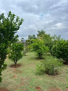 Imagem 2 - Terreno em Condomínio Aldeia Dos Sonhos, Hidrolândia - GO