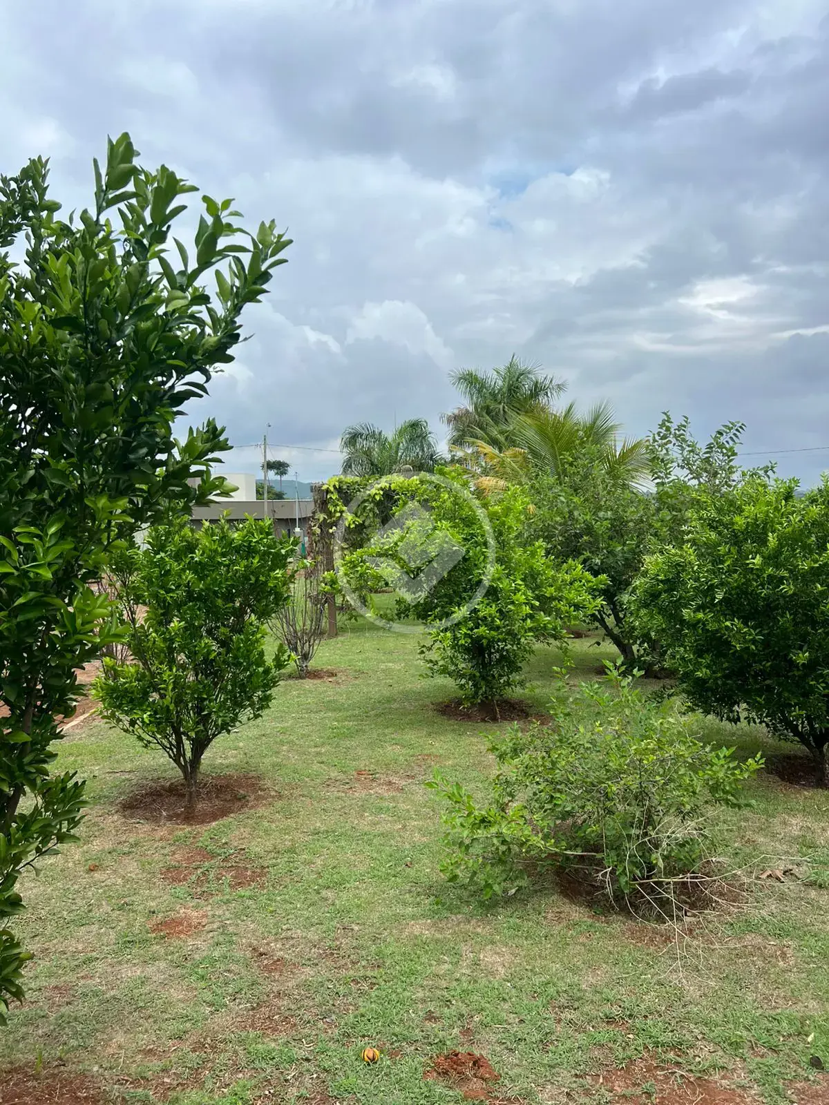 Imagem 2 - Terreno em Condomínio Aldeia Dos Sonhos, Hidrolândia - GO