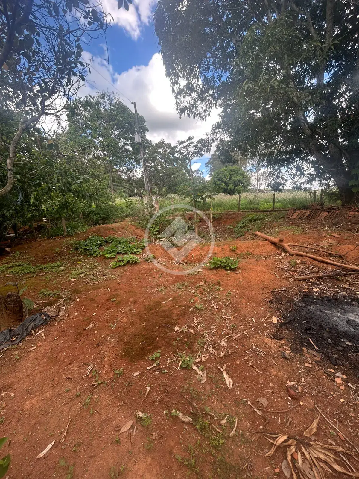 Imagem 1 - Chácara em Zona Rural, Hidrolândia - GO