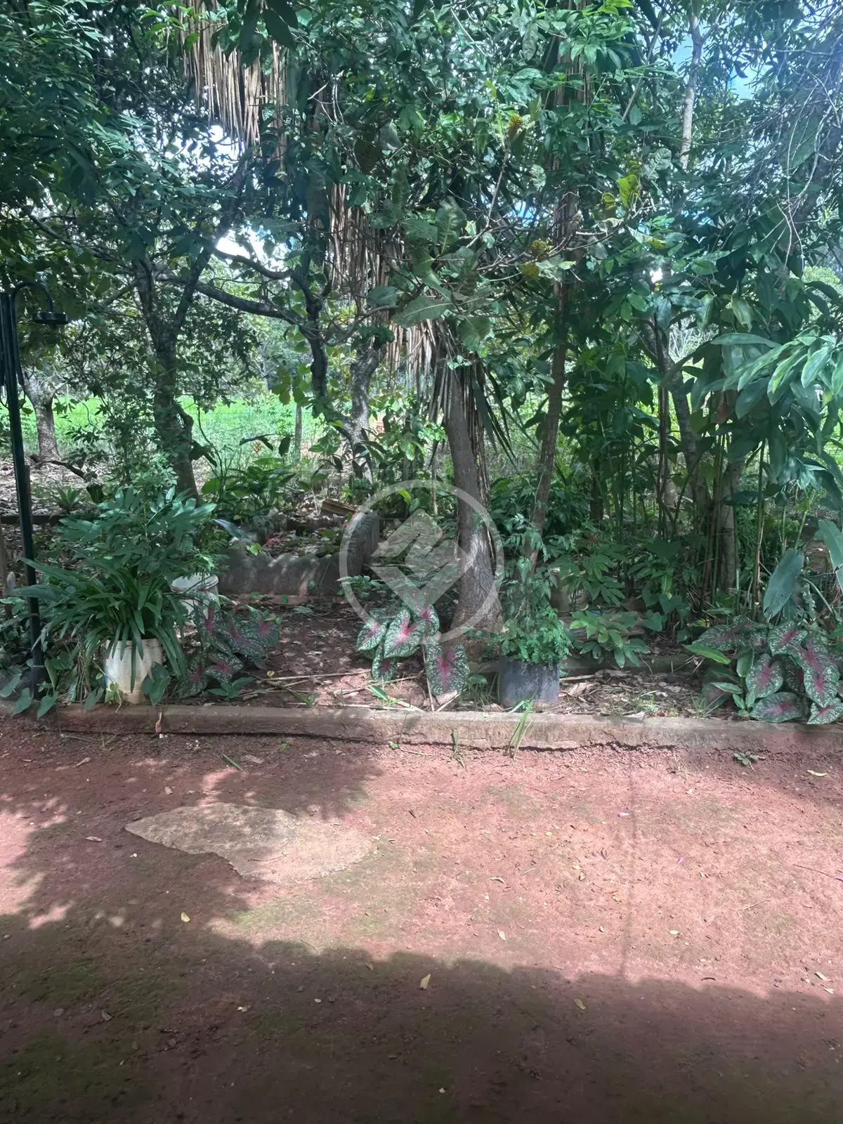 Imagem 2 - Chácara em Zona Rural, Hidrolândia - GO