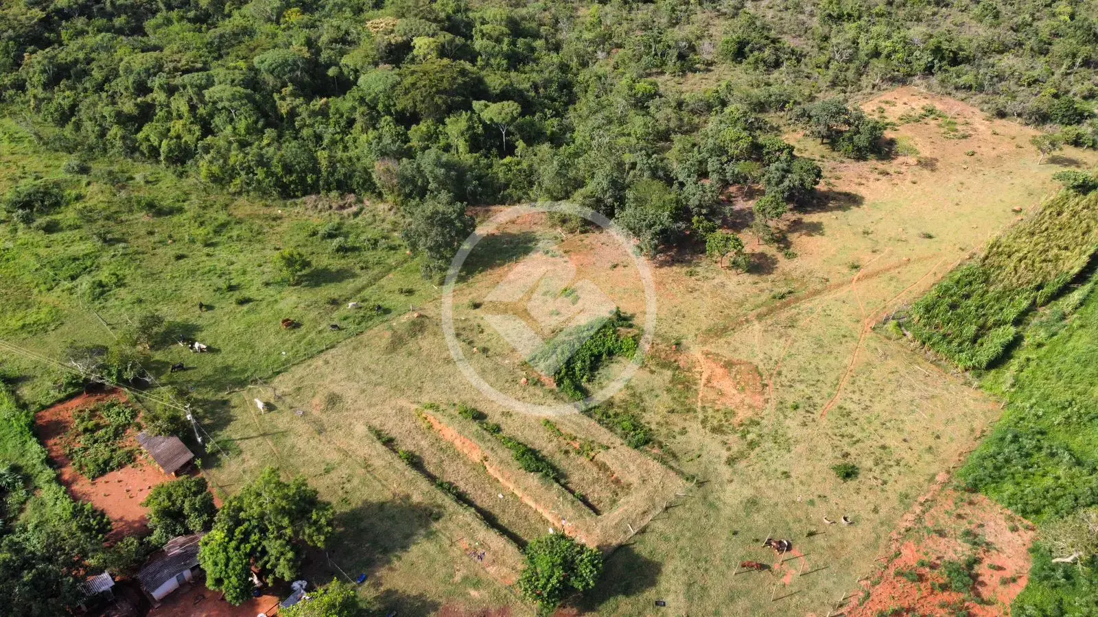 Imagem 1 - Chácara em Zona Rural, Bela Vista de Goiás - GO