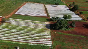 Imagem 5 - Chácara em Zona Rural, Bela Vista de Goiás - GO