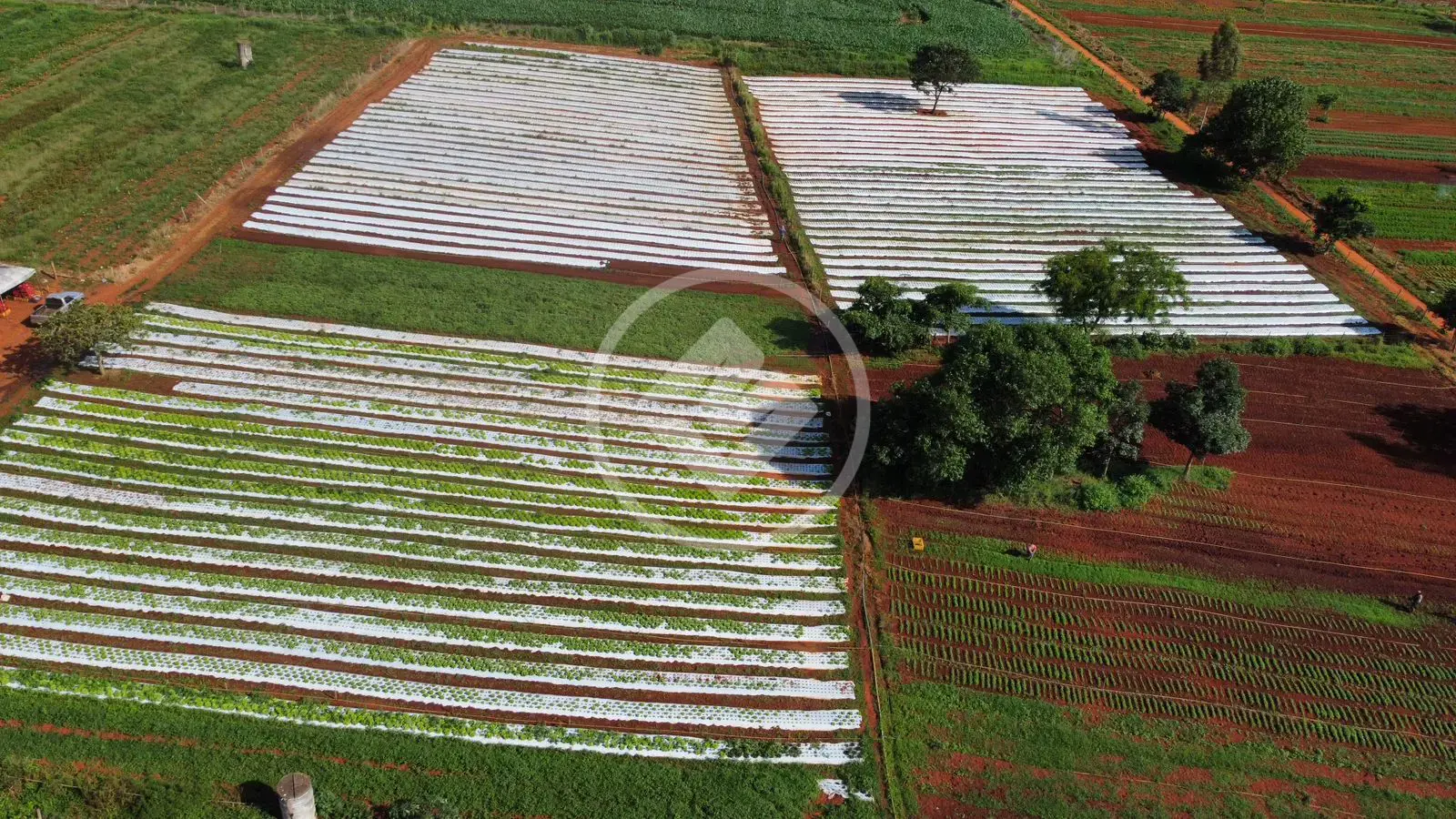 Imagem 5 - Chácara em Zona Rural, Bela Vista de Goiás - GO
