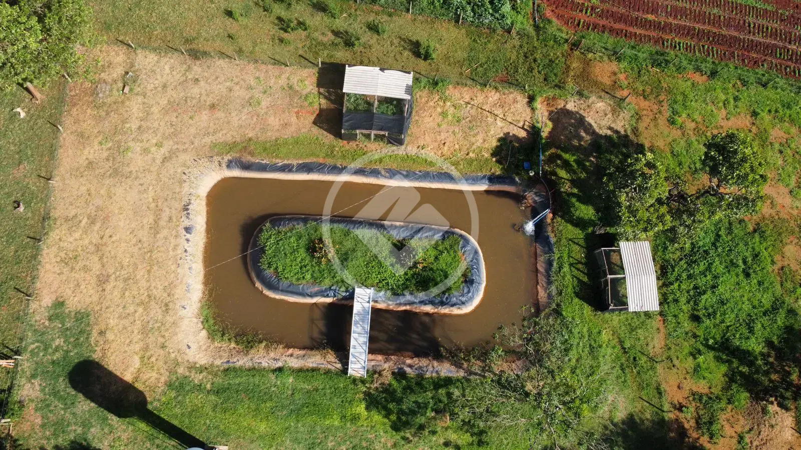 Imagem 4 - Chácara em Zona Rural, Bela Vista de Goiás - GO