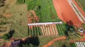 Imagem 6 - Chácara em Zona Rural, Bela Vista de Goiás - GO