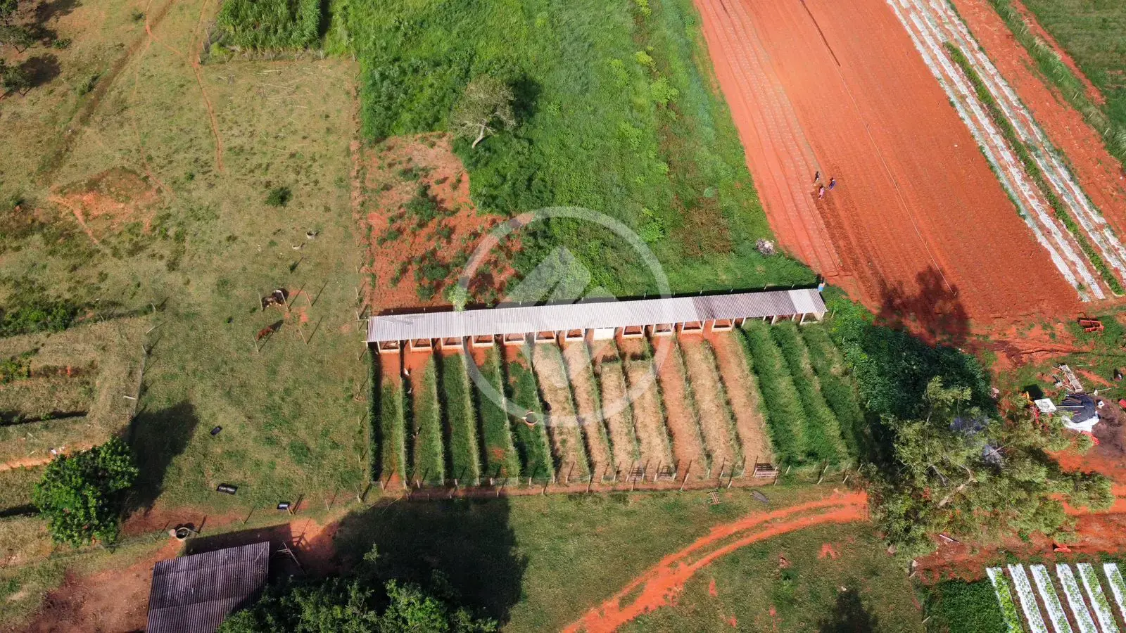 Imagem 6 - Chácara em Zona Rural, Bela Vista de Goiás - GO