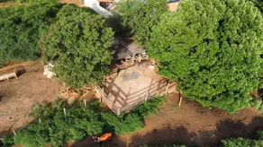 Chácara Zona Rural, Bela Vista de Goiás - GO — foto 2