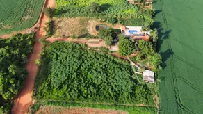Imagem 3 - Chácara em Zona Rural, Bela Vista de Goiás - GO