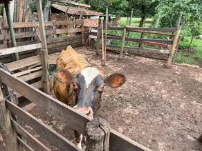 Chácara Zona Rural, Hidrolândia - GO — foto 2