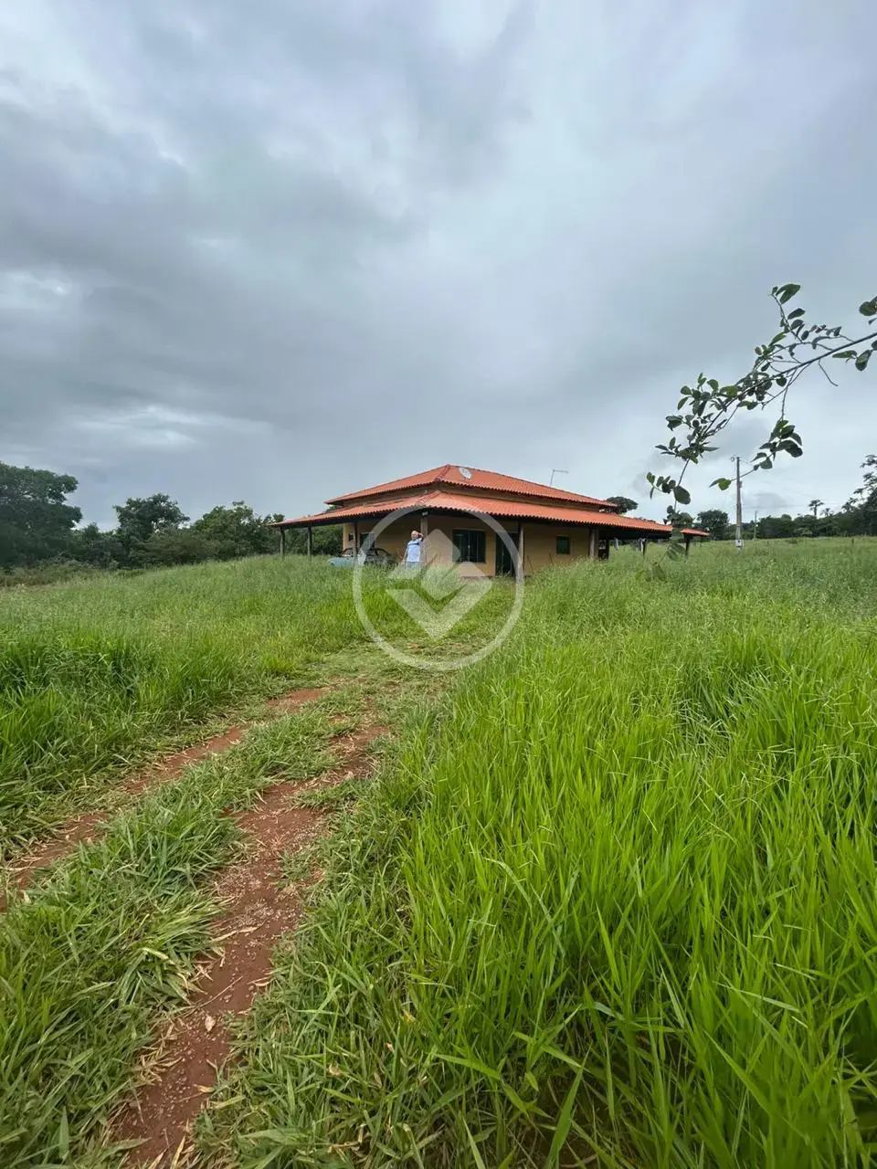Imagem 2 - Chácara em Zona Rural, Hidrolândia - GO