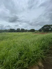 Imagem 3 - Chácara em Zona Rural, Hidrolândia - GO