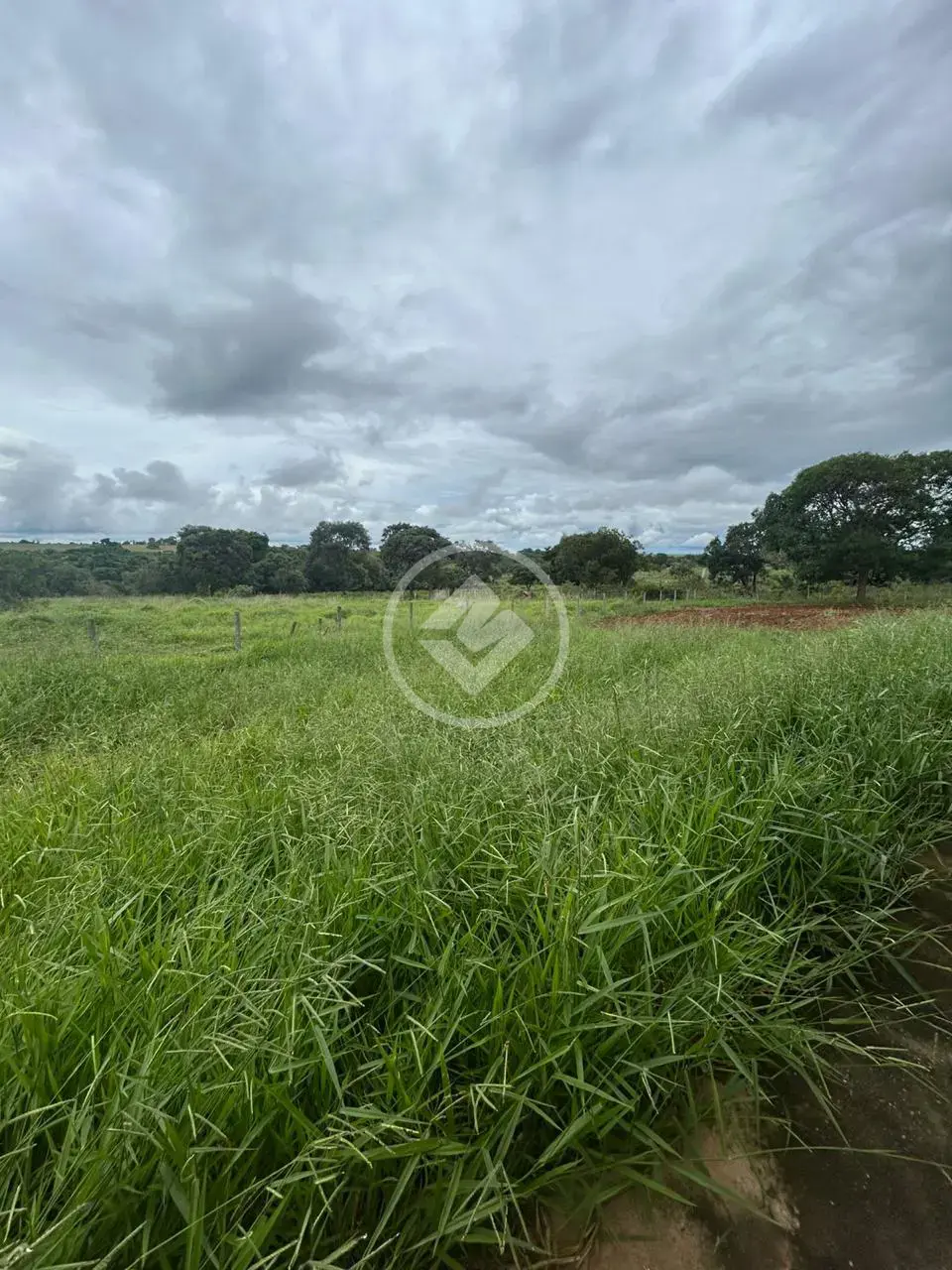 Imagem 3 - Chácara em Zona Rural, Hidrolândia - GO