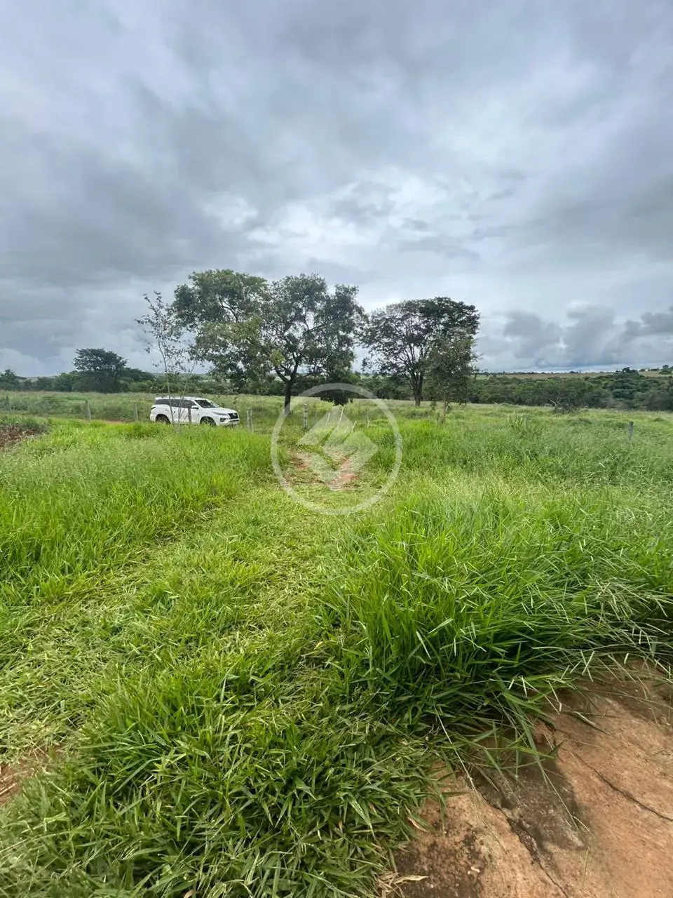 Imagem 4 - Chácara em Zona Rural, Hidrolândia - GO