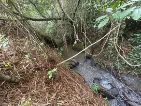 Chácara Zona Rural, Hidrolândia - GO — foto 1