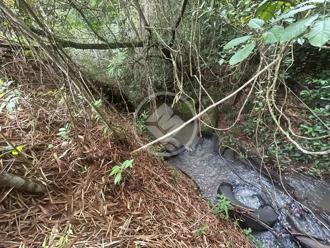 Imagem 1 - Chácara em Zona Rural, Hidrolândia - GO