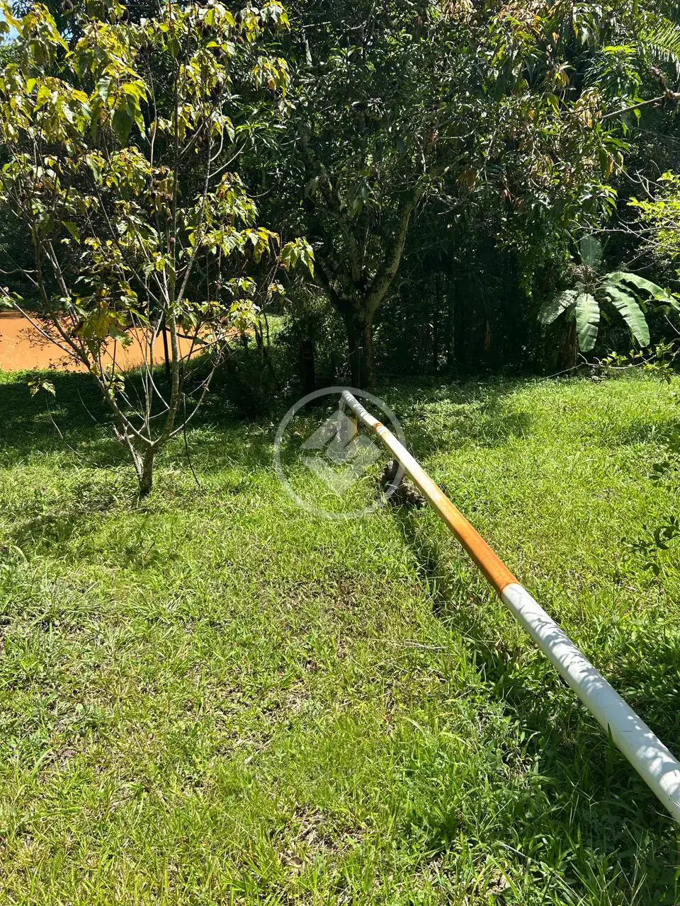 Imagem 1 - Chácara em Zona Rural, Bela Vista de Goiás - GO