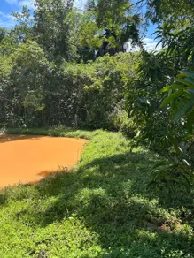 Imagem 3 - Chácara em Zona Rural, Bela Vista de Goiás - GO