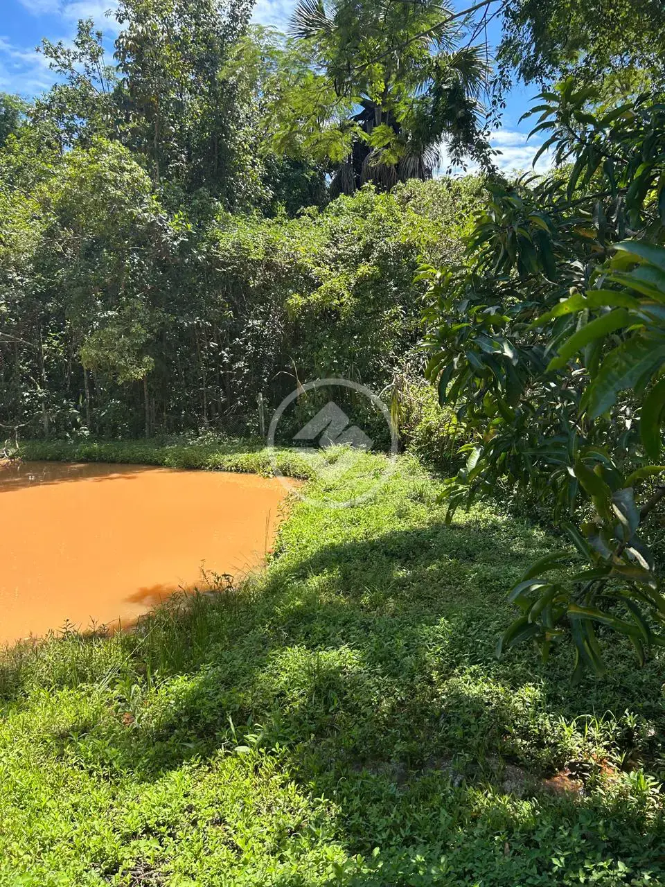 Imagem 3 - Chácara em Zona Rural, Bela Vista de Goiás - GO