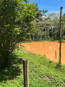 Imagem 4 - Chácara em Zona Rural, Bela Vista de Goiás - GO