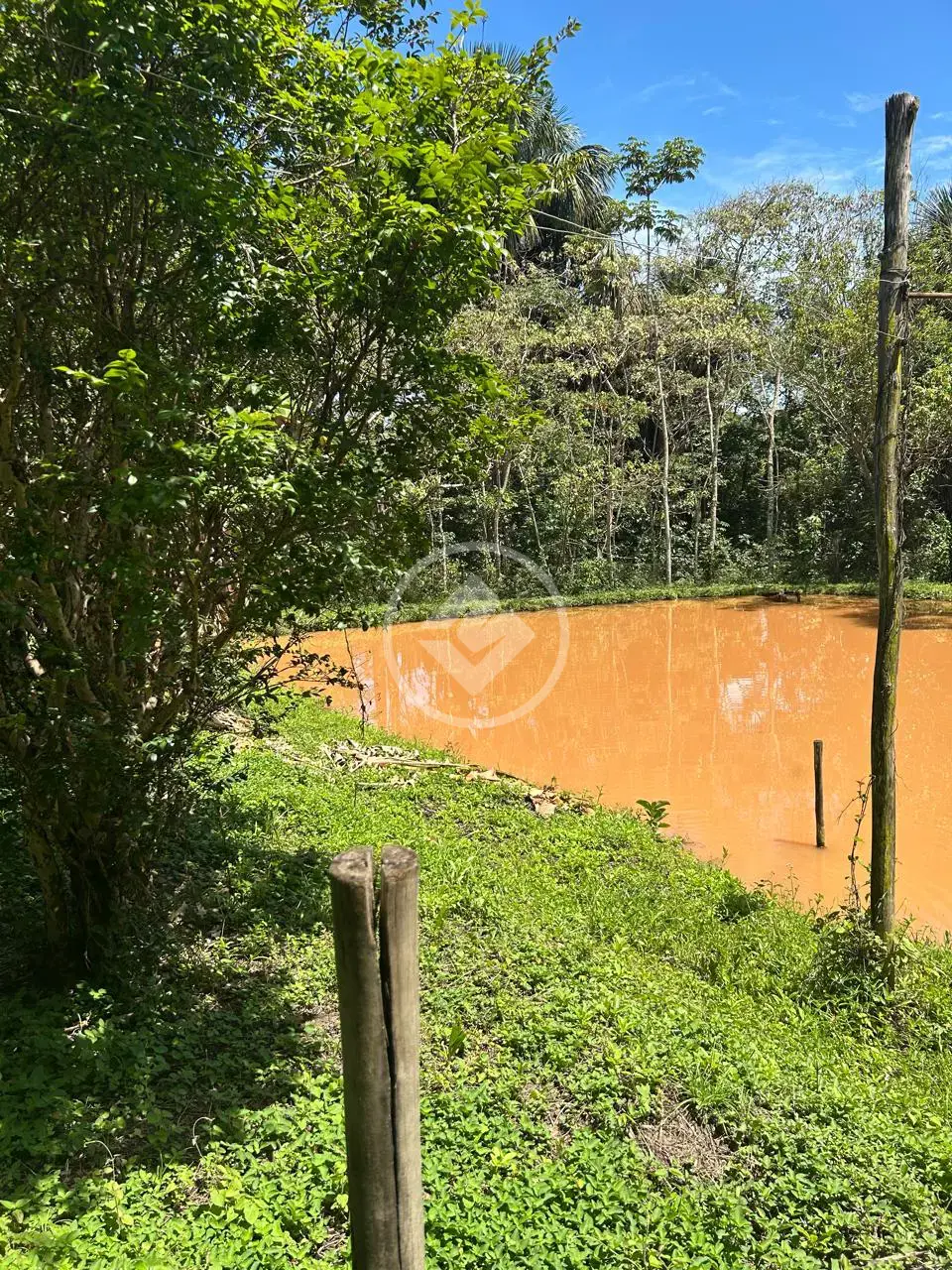 Imagem 4 - Chácara em Zona Rural, Bela Vista de Goiás - GO