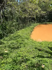 Imagem 5 - Chácara em Zona Rural, Bela Vista de Goiás - GO