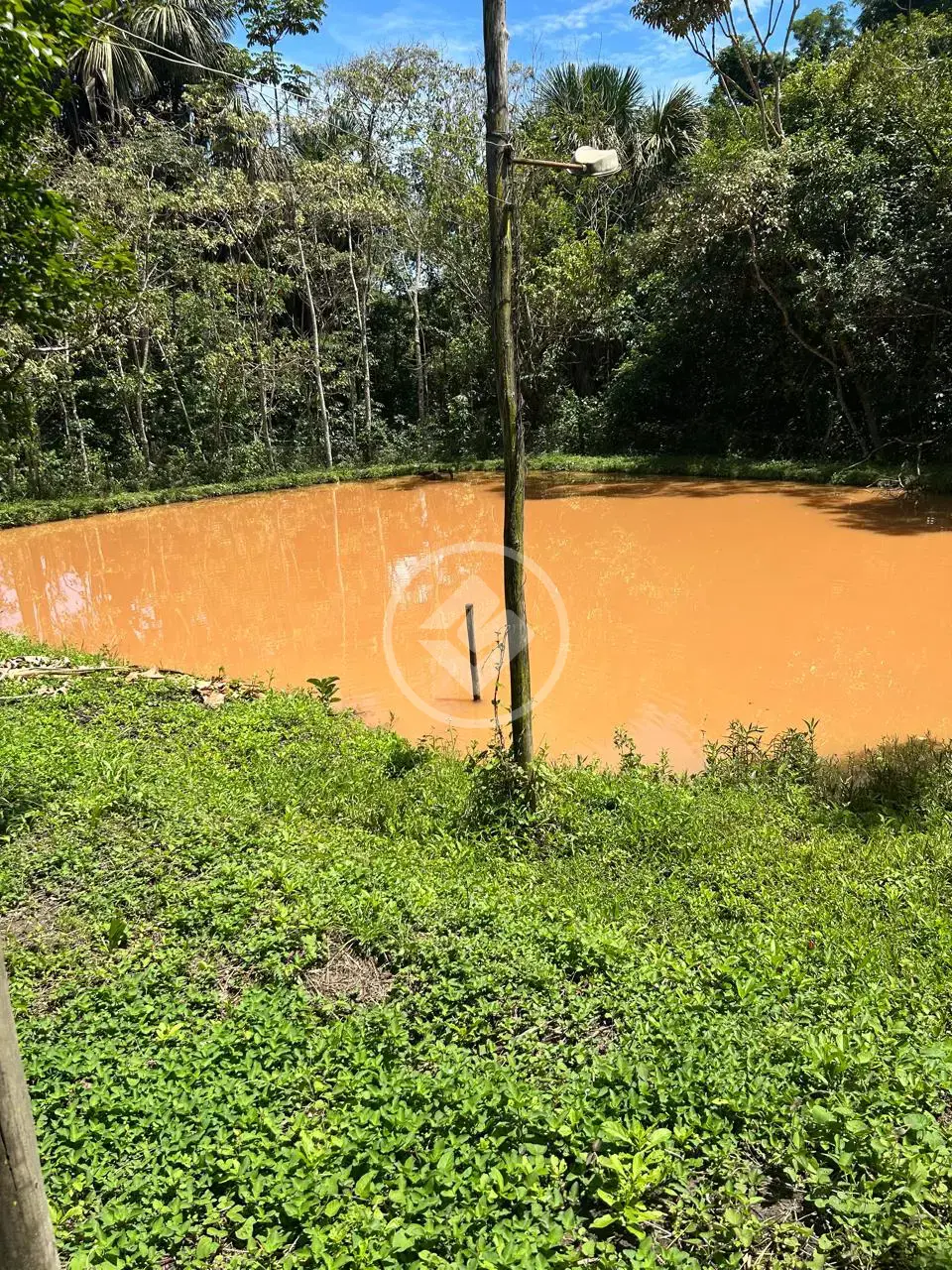 Imagem 2 - Chácara em Zona Rural, Bela Vista de Goiás - GO