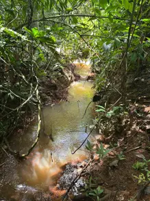 Imagem 6 - Chácara em Zona Rural, Bela Vista de Goiás - GO